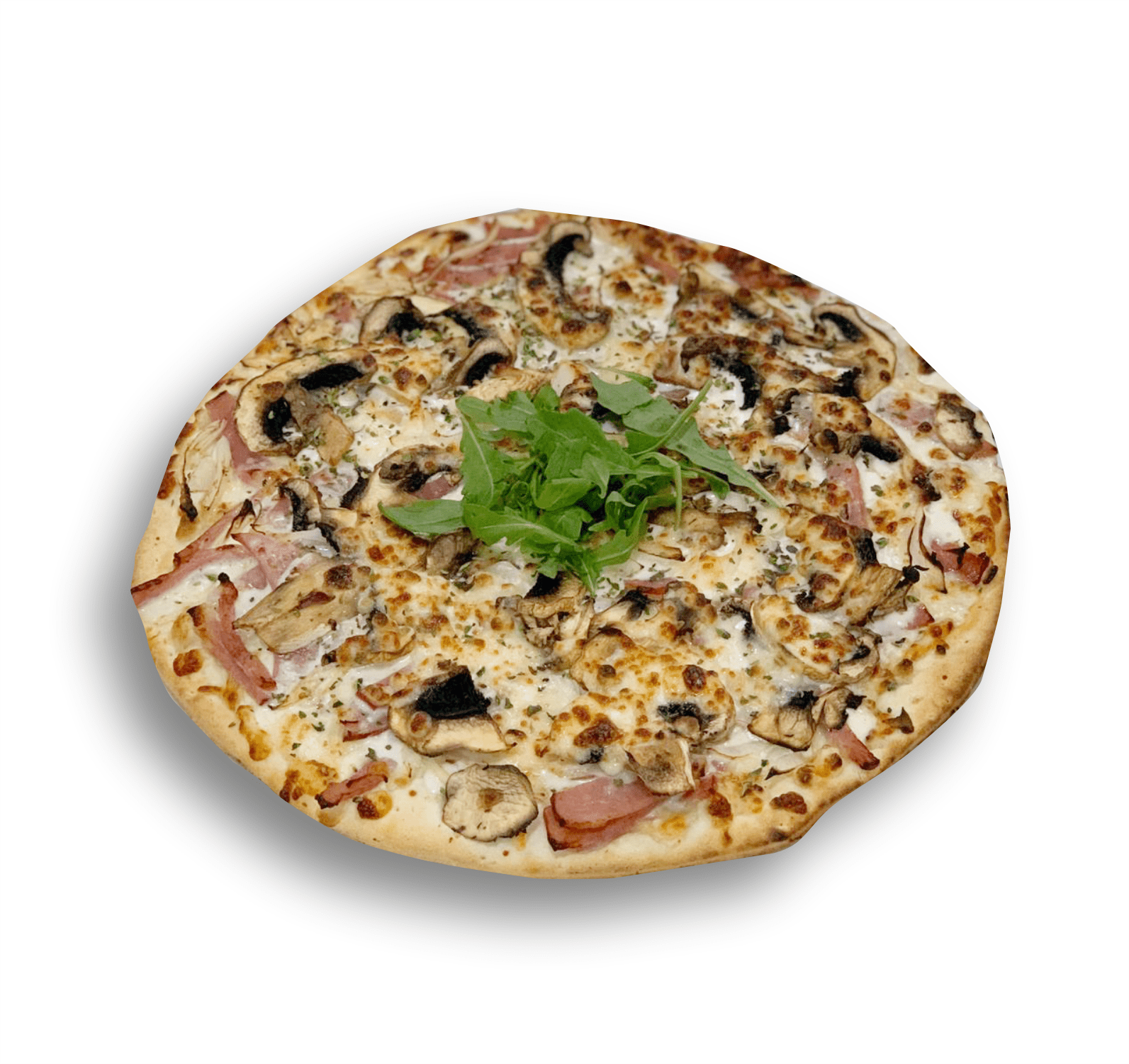 CARNONARA GOURMET