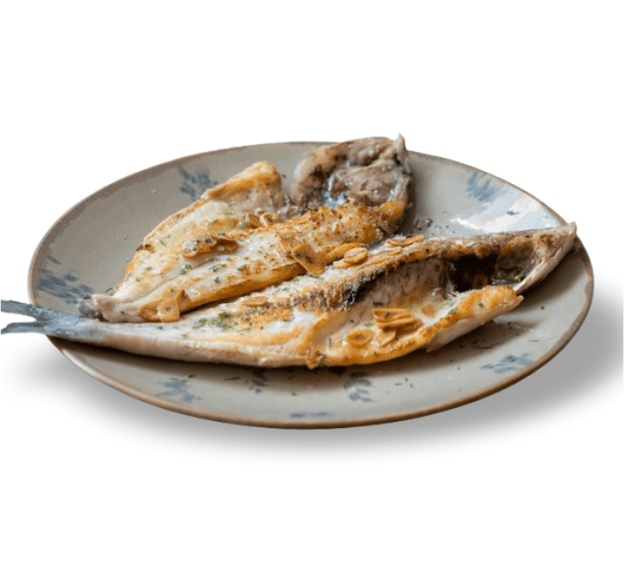 Dorada a la espalda Fusión